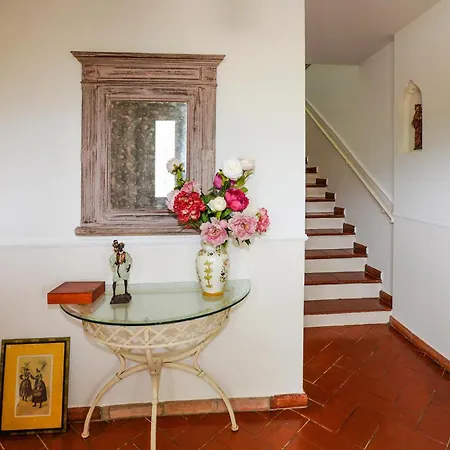 In With Private Swimming Pool, Be Inside Or Outside Apartment Furiani