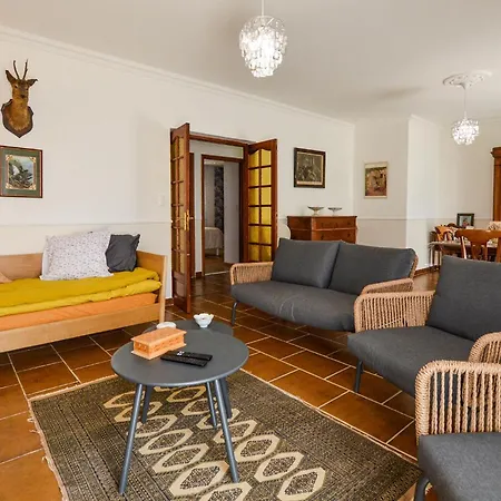 Apartament Pet Friendly Apartment In Furiani