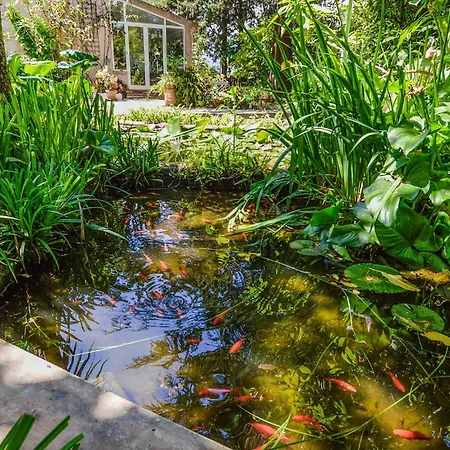Apartment In With Private Swimming Pool, Be Inside Or Outside *