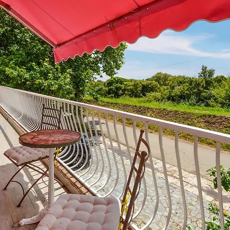 Pet Friendly Apartment In Furiani Furiani