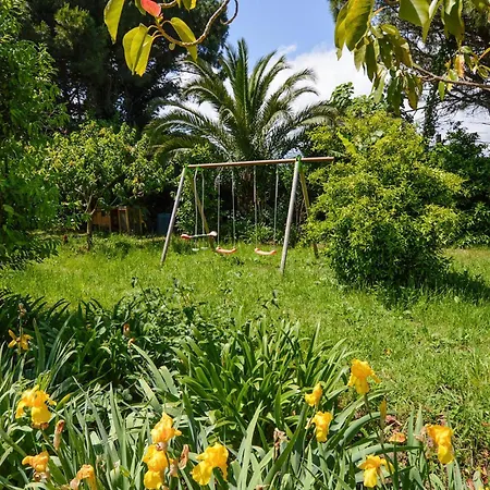 Pet Friendly Apartment In Furiani *